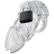 The Vice Clear Kuisheidskooi