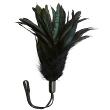 Sportsheets Forførelses Fjer  1