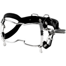 Whitehead Steal Gag  1