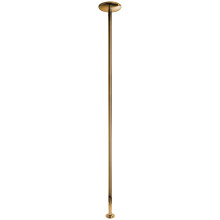 X-POLE Xpert Titanium Gold Danspaal 4,5 cm  1