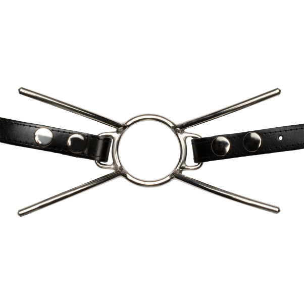 Cat Mouth Strap Steal Gag