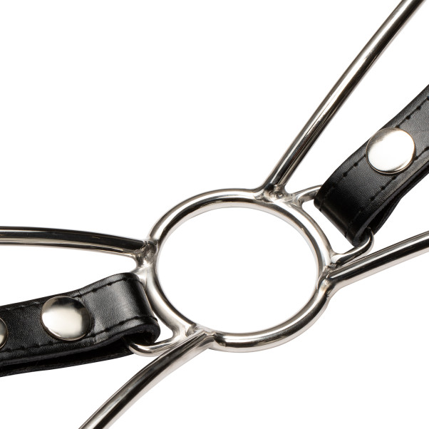 Cat Mouth Strap Steal Gag