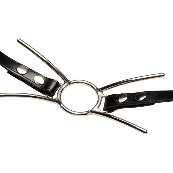 Cat Mouth Strap Steal Gag