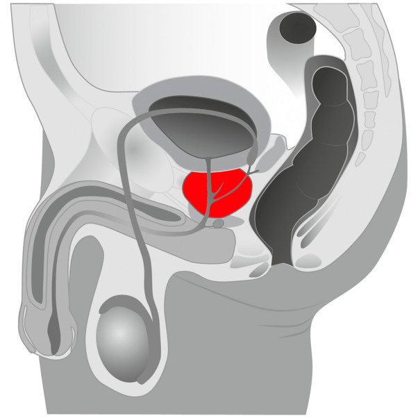 You2Toys Twister Anale Vibrator