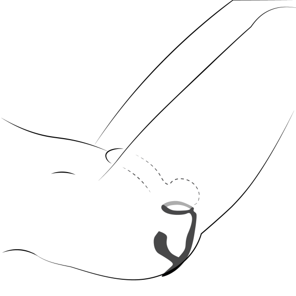 Fun Factory Bootie Ring met Prostaatstimulator