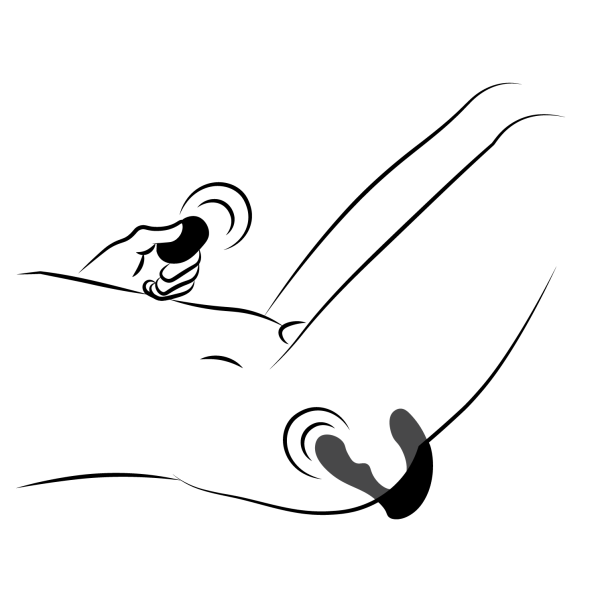 Sinful Force Prostaatstimulator met Afstandsbediening