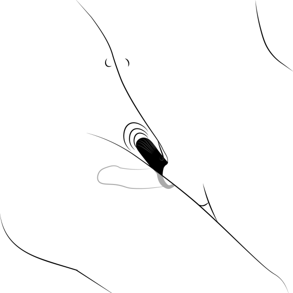 Sinful Come Together Oplaadbare Vibrerende Cockring