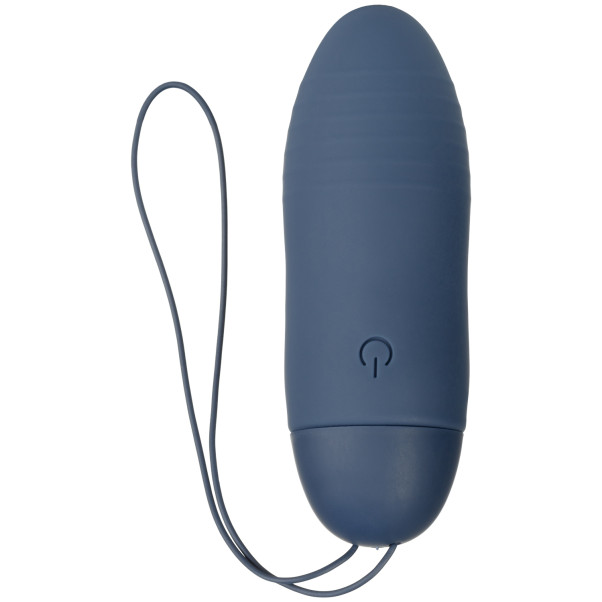 Amaysin Ribbed Oplaadbaar Vibratie Ei met Afstandsbediening