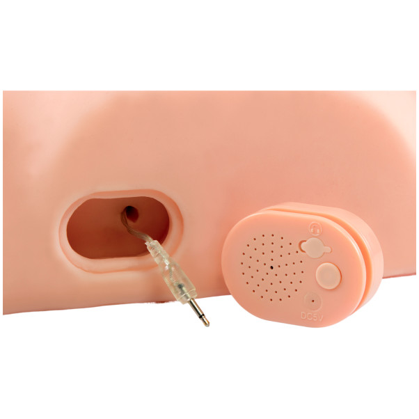 PDX Male Interactieve' Fuck Him Silly' Masturbator