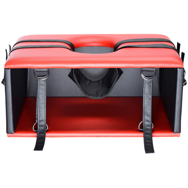 Master Series Queening-seksstoel