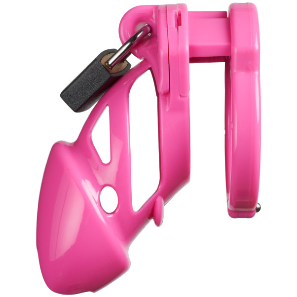 The Vice Standard Kuisheidskooi