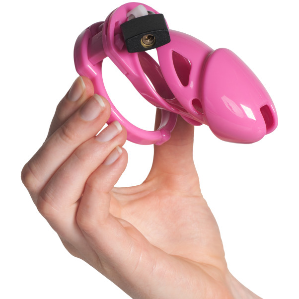 The Vice Standard Kuisheidskooi