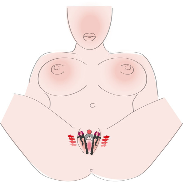 You2Toys Intimate Strong G-Spot Spreider