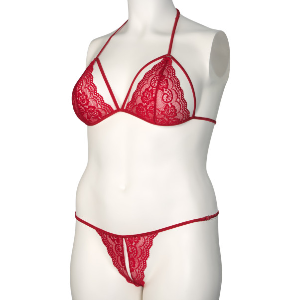 NORTIE Friia Red BH en Kruisloze G-string Set Plus Size