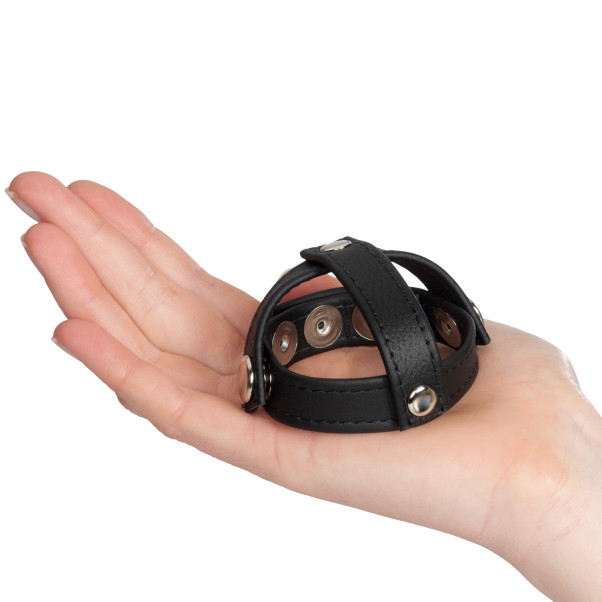 COLT Leren C/B-band met H-stukverdeler