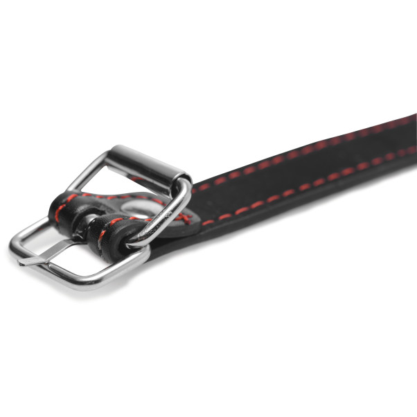 Master Series Hound Dog Bone Gag