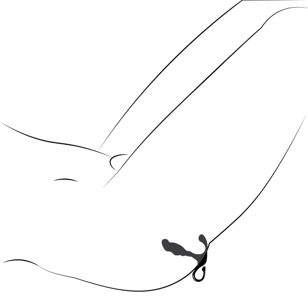 Sinful Beginners Prostaatstimulator