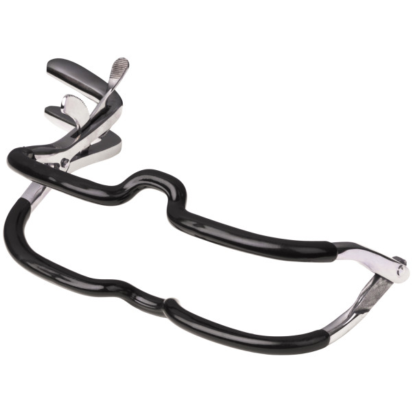 Kiotos Bizarre Jennings Gag