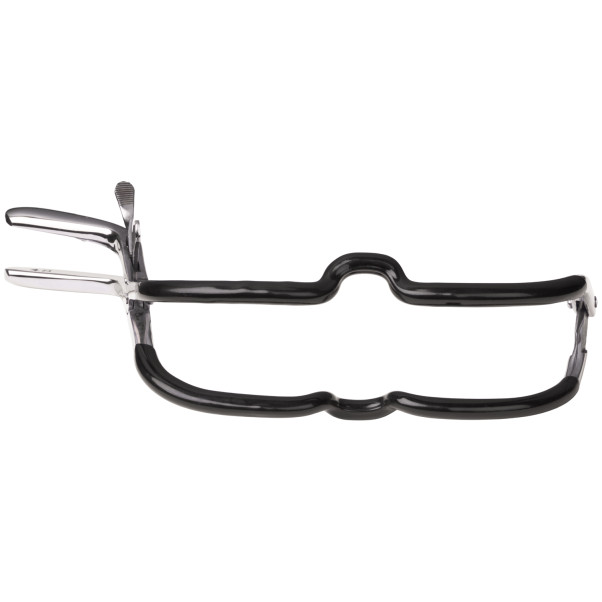 Kiotos Bizarre Jennings Gag