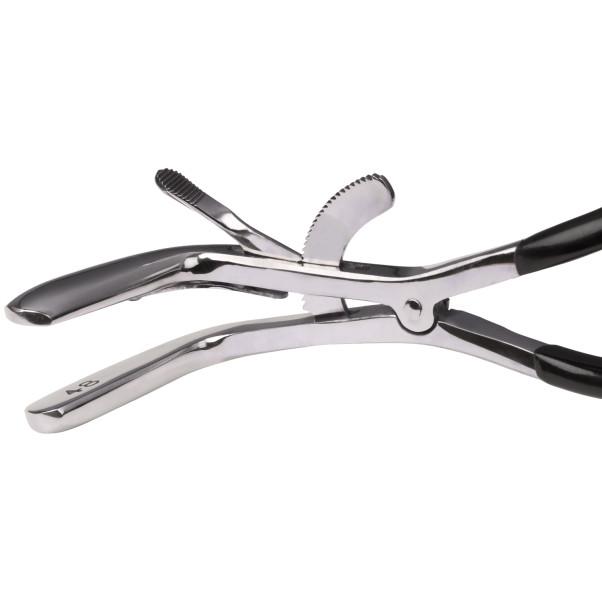 Kiotos Bizarre Jennings Gag