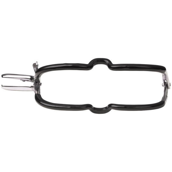 Kiotos Bizarre Jennings Gag