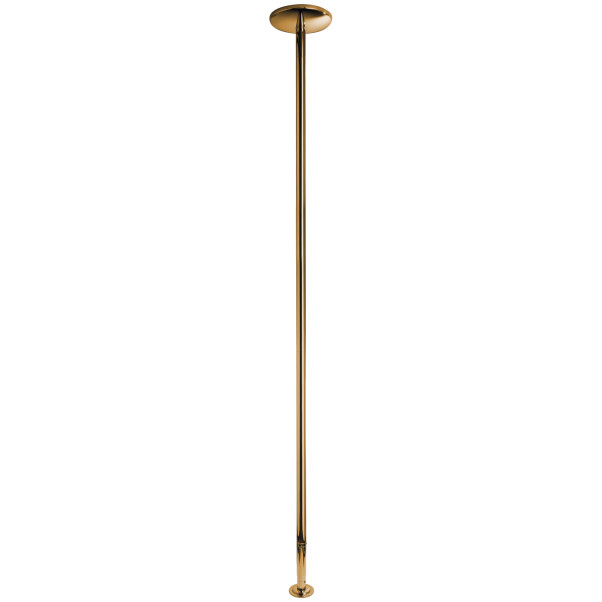 X-POLE Xpert Titanium Gold Danspaal 4,5 cm