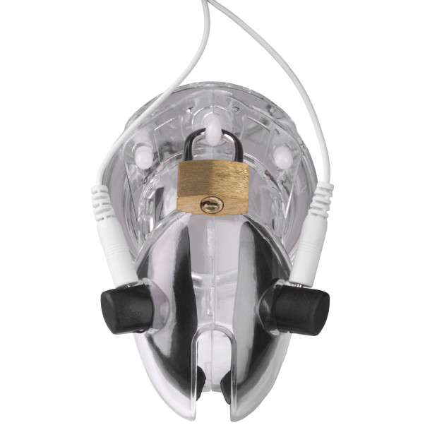 Brutus Electro Kuisheidskooi