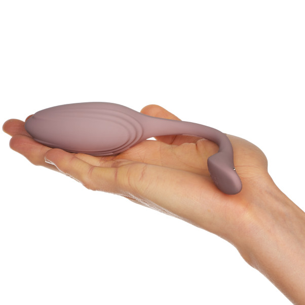 Amaysin Tulip Vibrerend Ei met Afstandsbediening