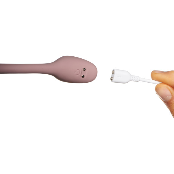 Amaysin Tulip Vibrerend Ei met Afstandsbediening