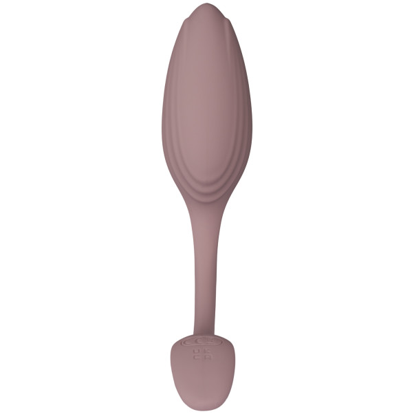 Amaysin Tulip Vibrerend Ei met Afstandsbediening