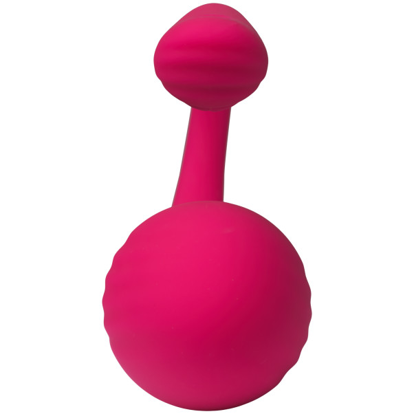 Tracy's Dog Vibrerend Ei met Afstandsbediening