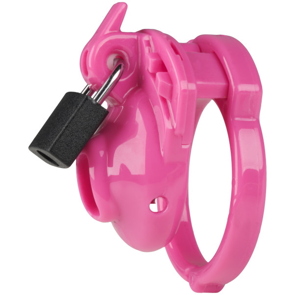 The Vice Clitty Kuisheidskooi