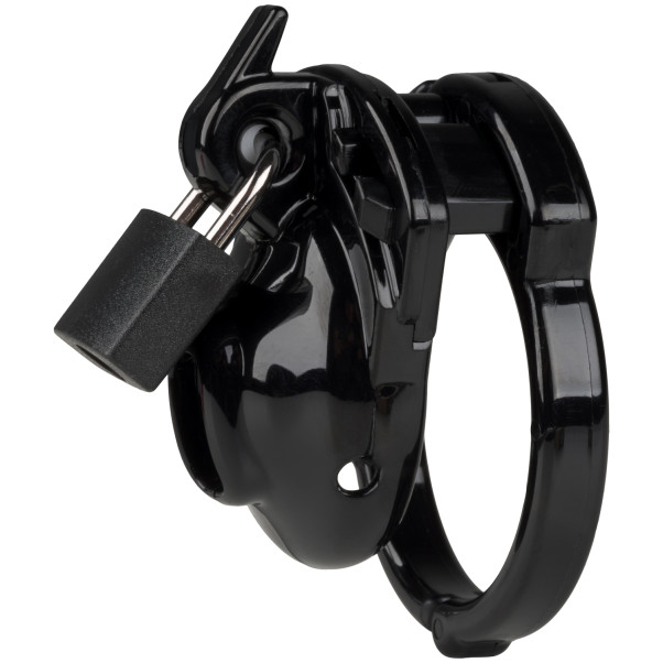 The Vice Clitty Kuisheidskooi