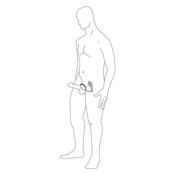 Anal Fantasy Elite Oplaadbare Ass-Gasm Pro