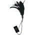 Sportsheets Seduction Feather