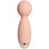 Sinful Peach Mini Magic Wand