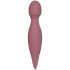 Amaysin Wand and Teaser Vibrator