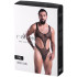 Passion Leon Visnet Body
