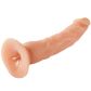 Willie City Realistische Dildo met Zuignap 23 cm