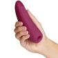 Satisfyer Curvy 1+ Luchtdruk Vibrator met App