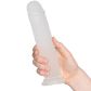 Willie City Frost Clear Realistische Dildo met Zuignap 22 cm