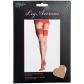 Leg Avenue Hold-up Kousen met Achternaad