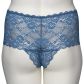 NORTIE Evening-Promise Night Blue High-Waisted Hipster Plus Size