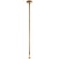X-POLE Xpert Titanium Gold Danspaal 4,5 cm