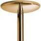 X-POLE Xpert Titanium Gold Danspaal 4,5 cm